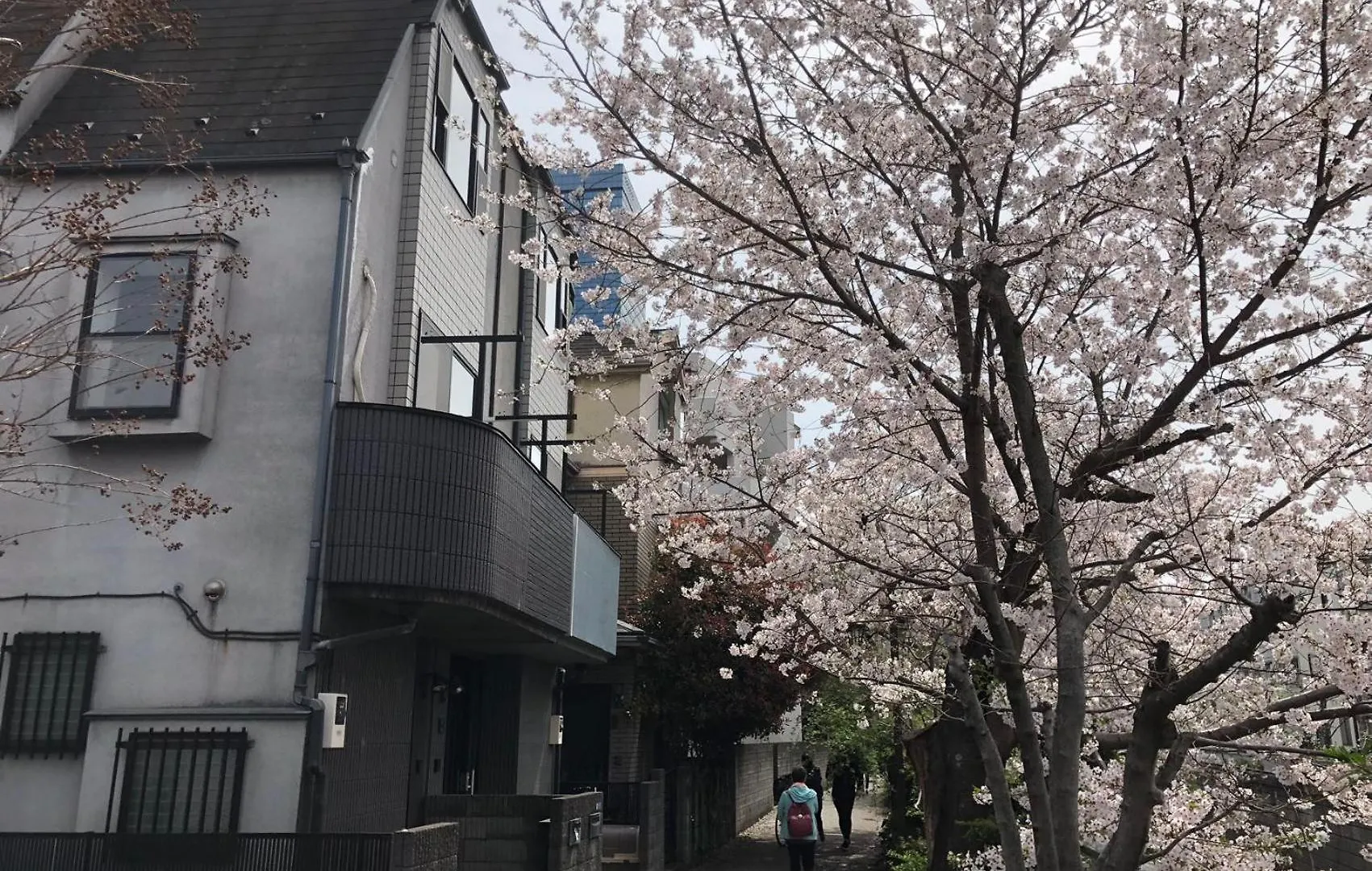Sakurakan Tóquio