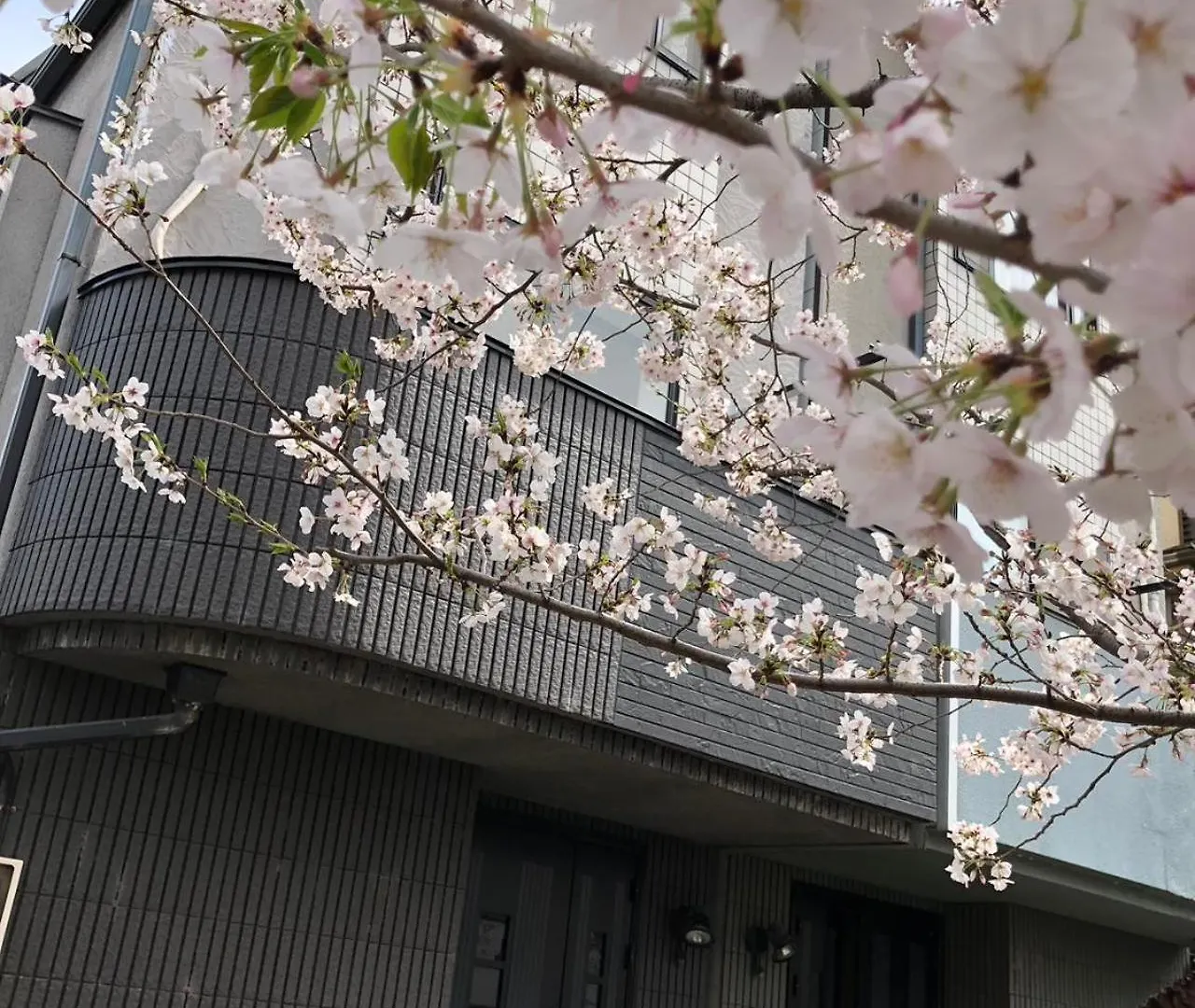 Villa Sakurakan Tóquio Japão