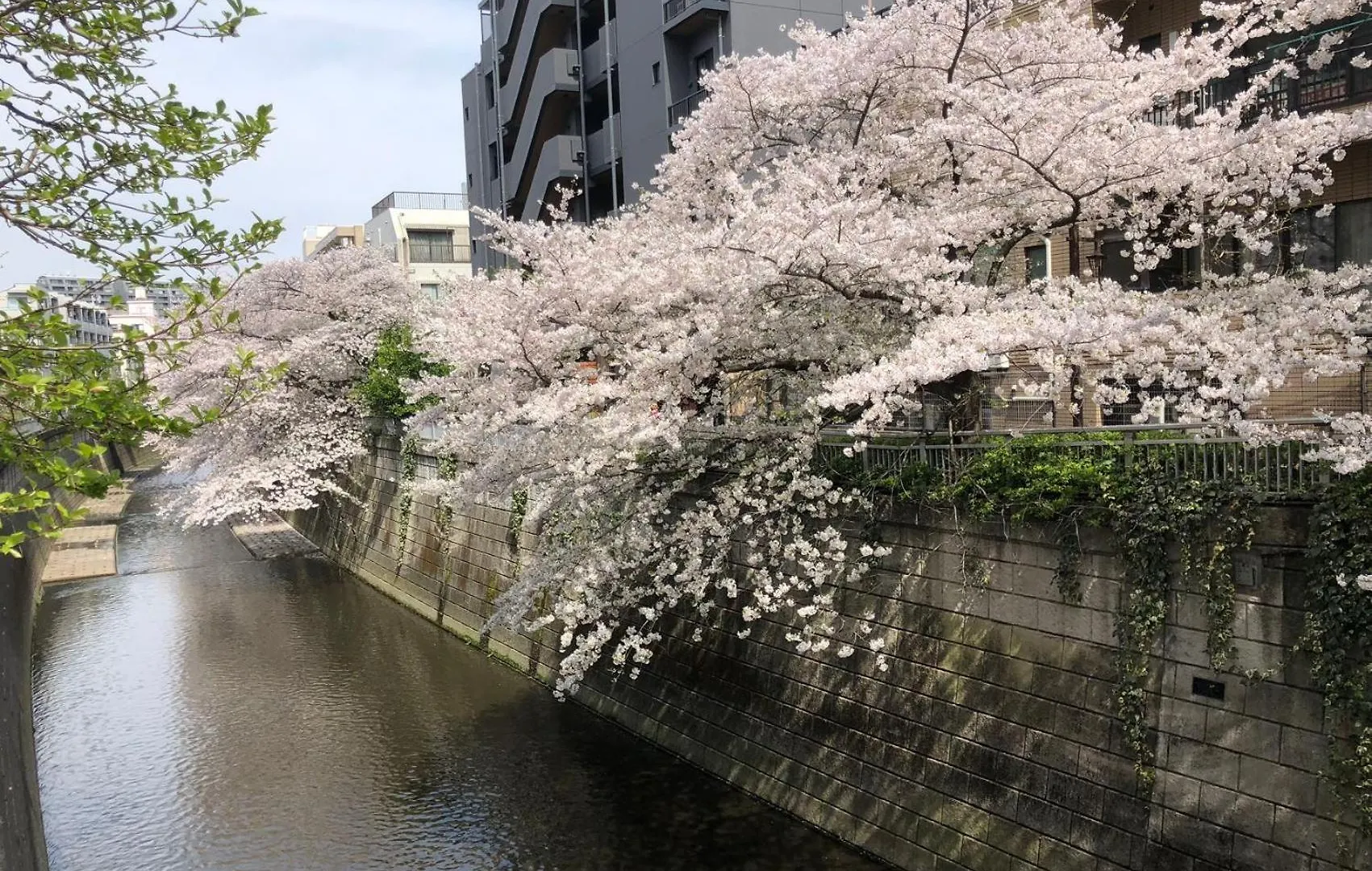 Sakurakan Tōkyō Villa